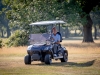 DW2A2591
